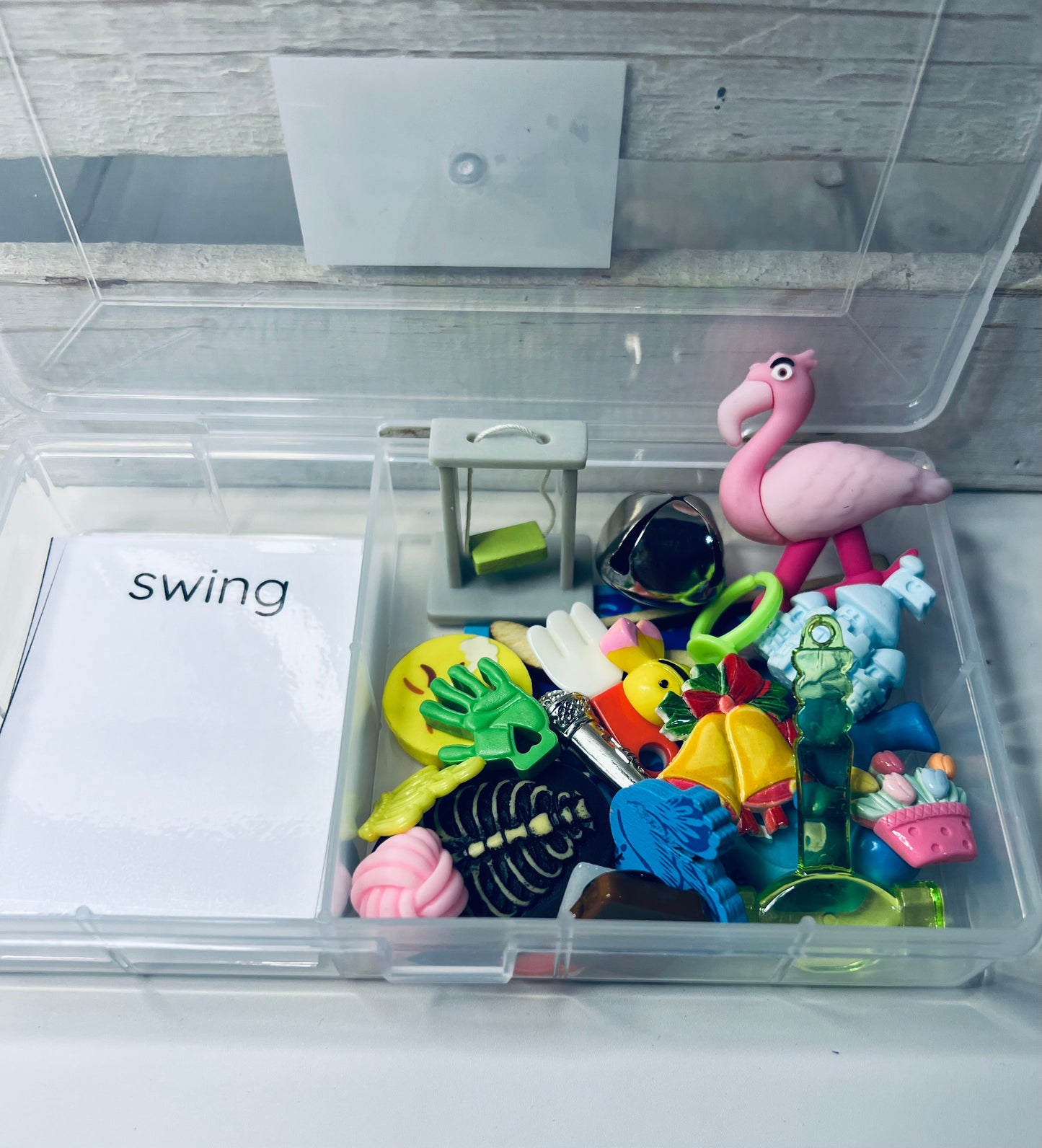 /ng/ Sound Mini Objects Kit Speech Therapy Trinkets for ng sound - Say and Play  Speech Therapy Kit