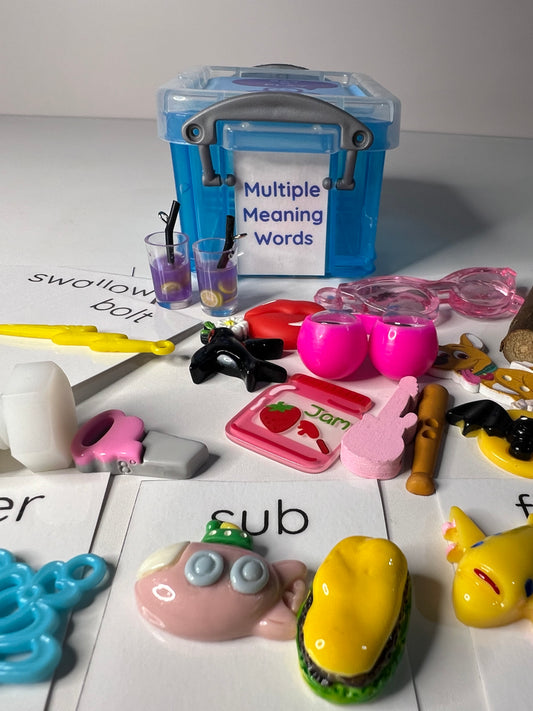 Multiple Meaning Word Mini Objects for Speech Therapy Semantics Activity Language Task Box