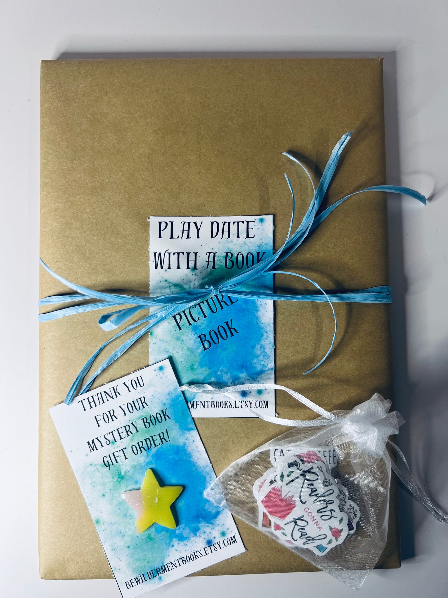 PICTURE Book Blind Date with a Book for KIDS Picture Book Mystery Book Gift