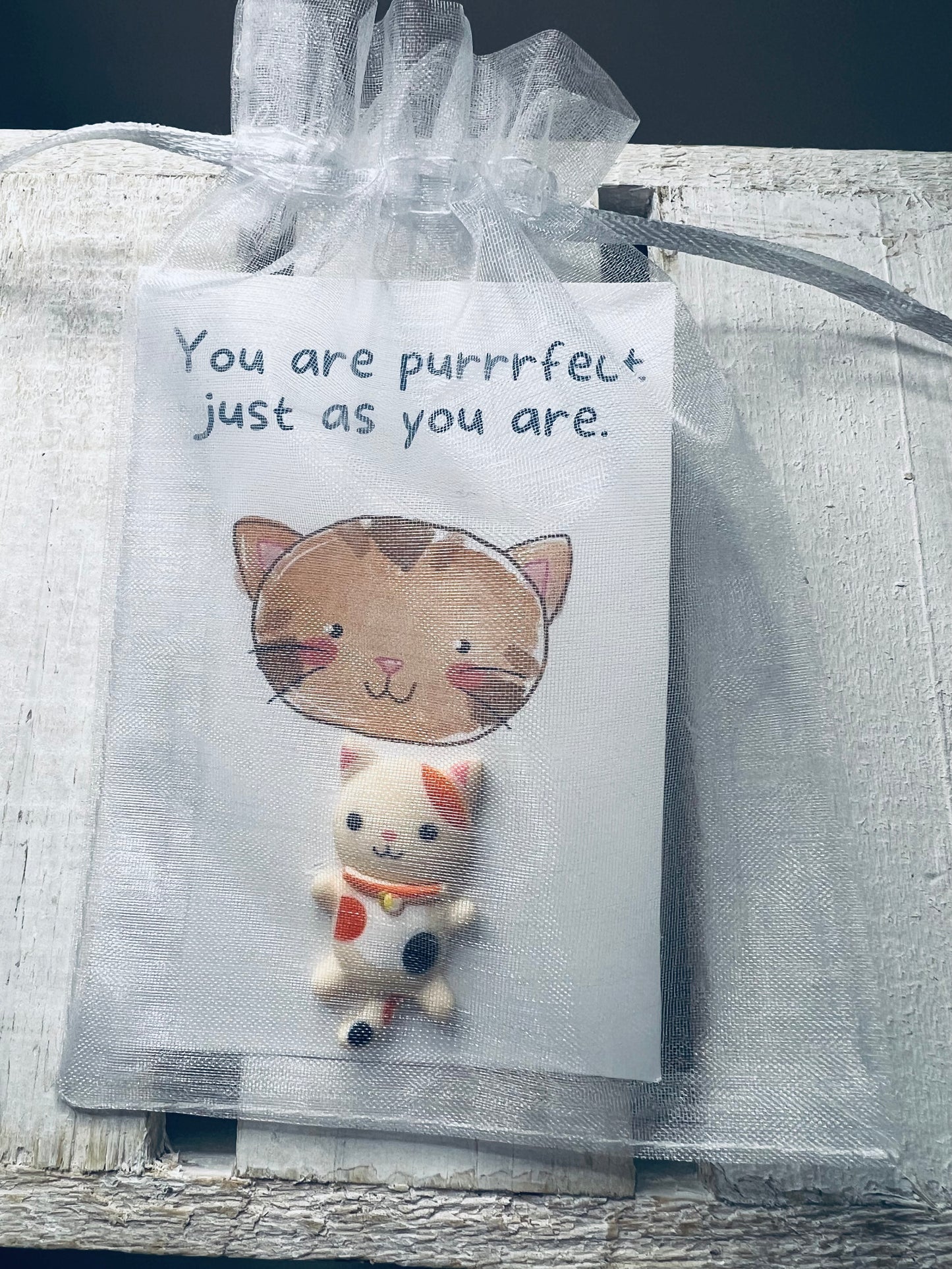 Mindfulness Card Positivity Card with a Mini Trinket to Keep Pocket Hug Card Teacher Gift For SLP Cat  Mini Object Trinkets