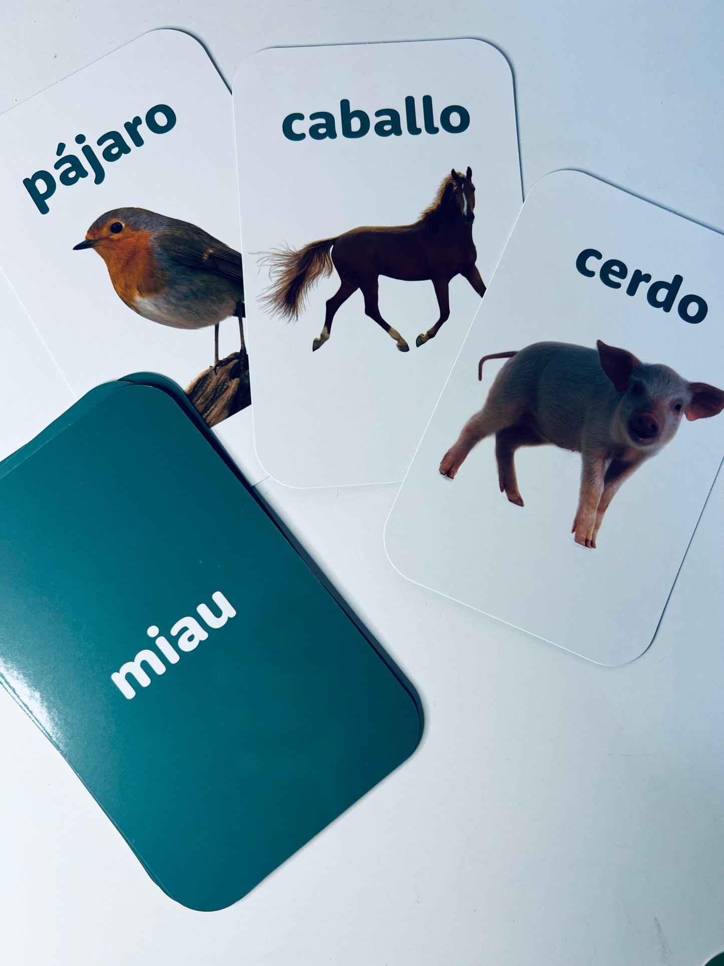 Spanish Flashcards - Learn Spanish