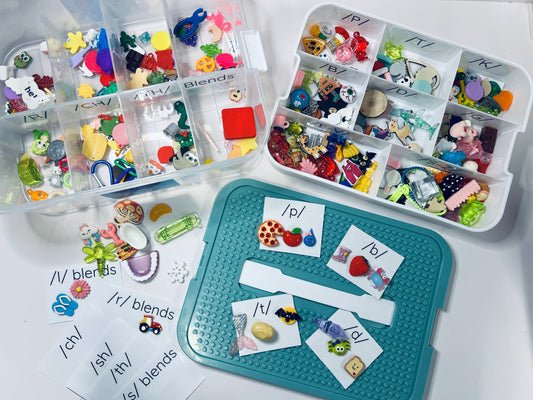 Say and Play Speech Mini Objects Set Articulation Trinkets in PORTABLE Organizer Speech Sound Minis  organized with Sensory Tray top