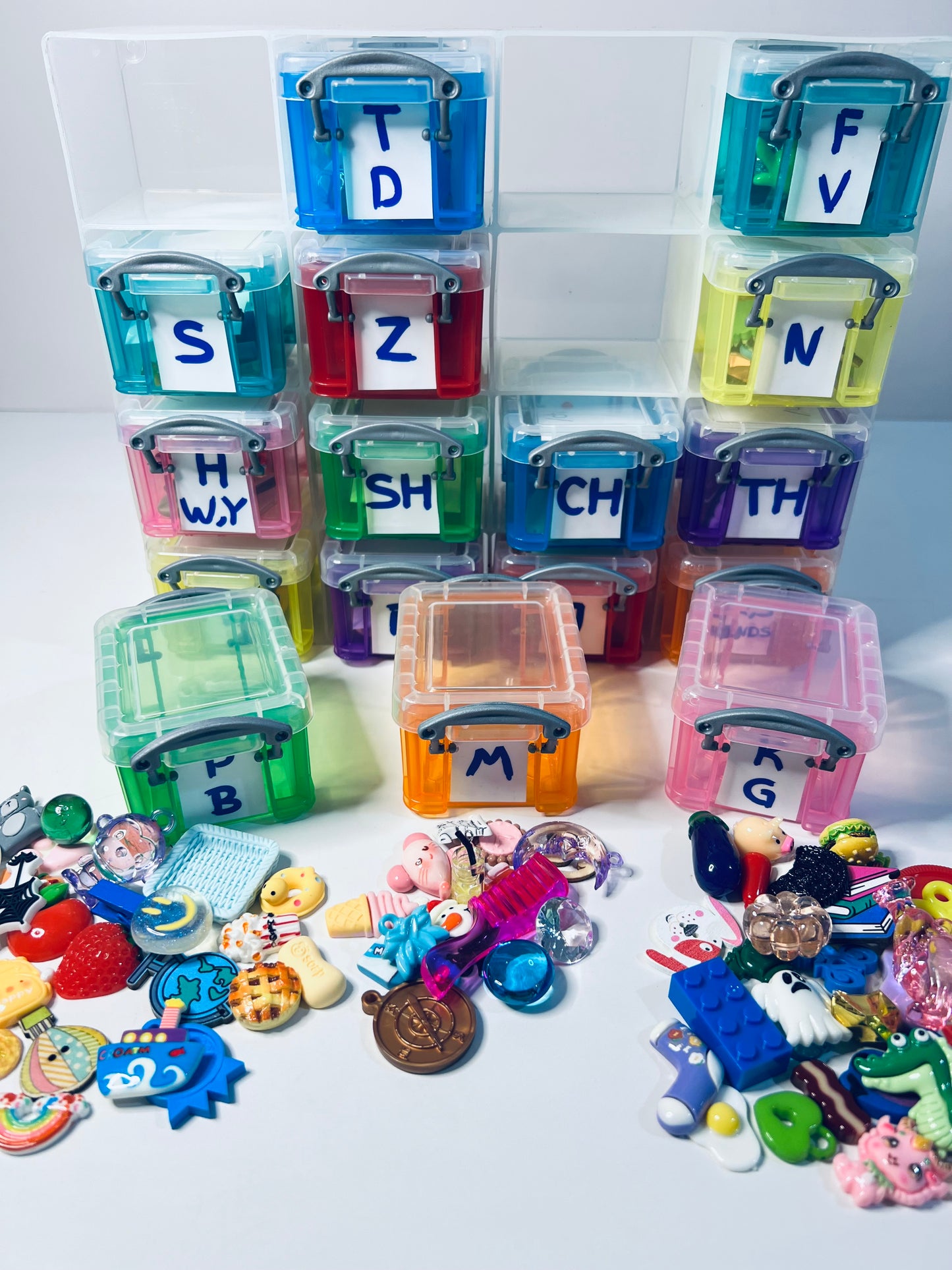 Speech Therapy Mini Objects Set ALL SOUNDS Articulation Trinkets in Organizer Say Play Mini Objects Doodads  Speech Therapy