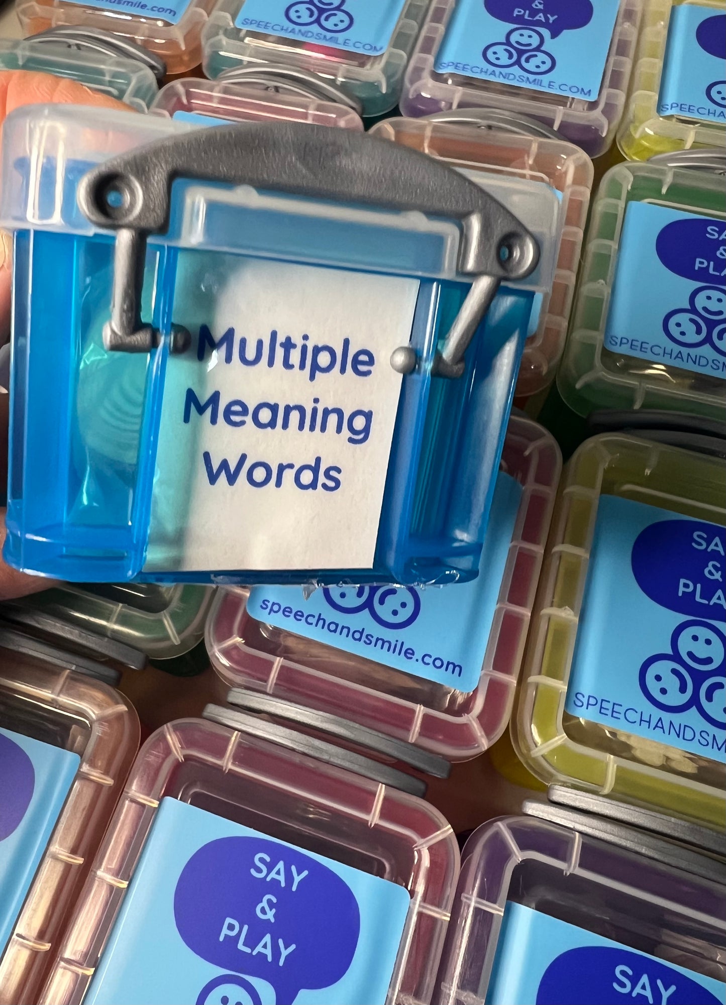 Multiple Meaning Word Mini Objects for Speech Therapy Semantics Activity Language Task Box