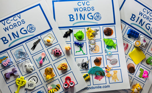 Say and Play Mini Objects Apraxia Speech Therapy Bingo Boards for VC-CV-cvc-CVCV-Speech Therapy Minis for Apraxia words