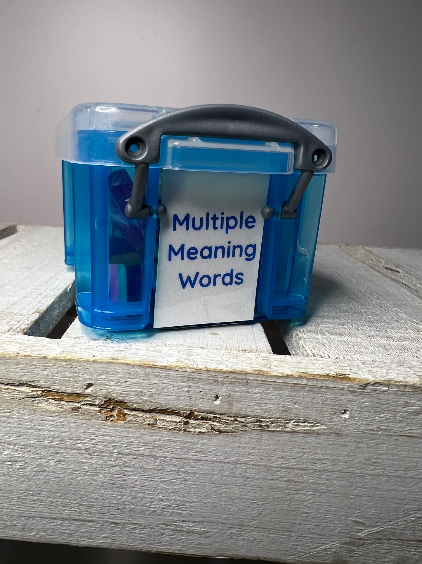 Multiple Meaning Word Mini Objects for Speech Therapy Semantics Activity Language Task Box