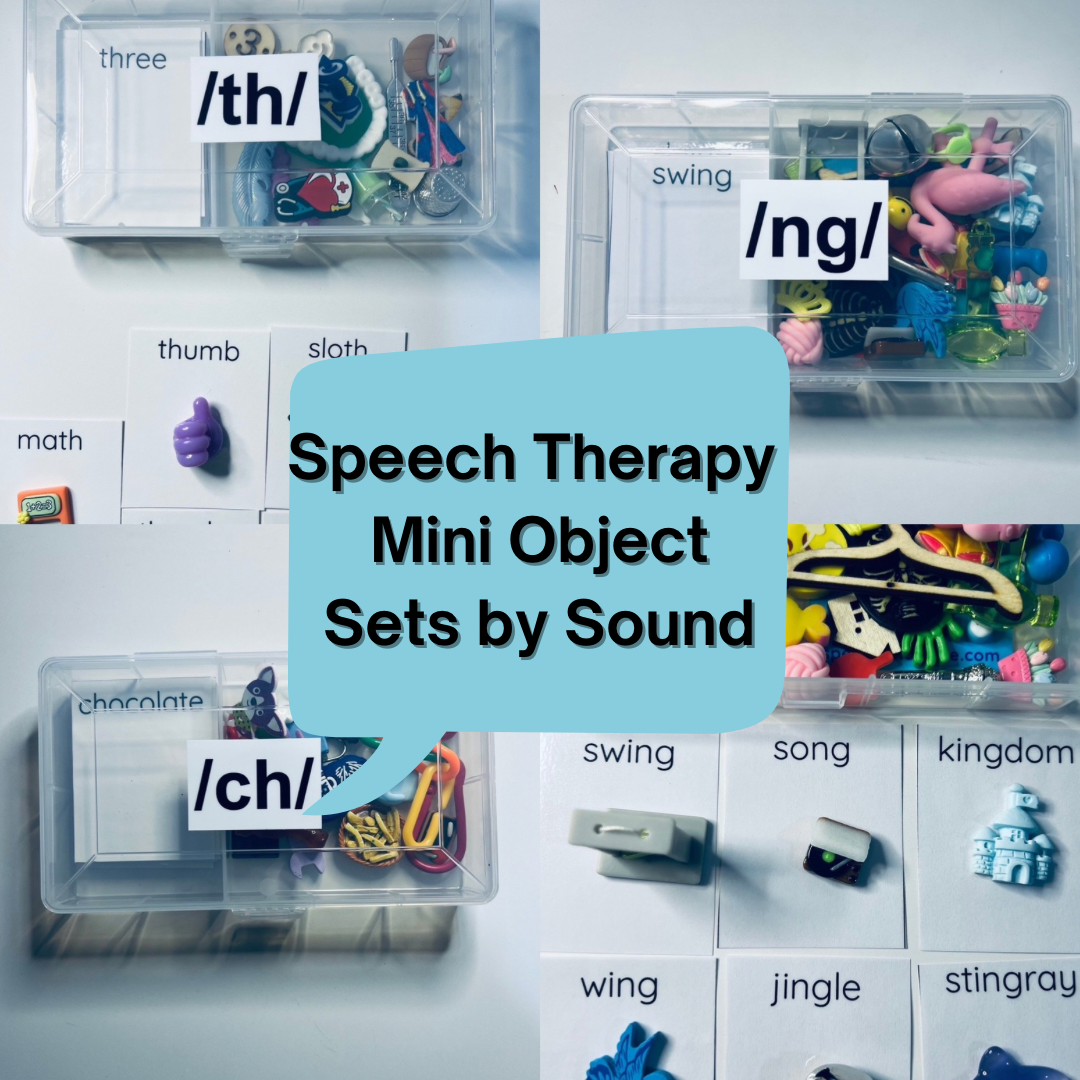 Speech Therapy Mini Objects Set of Trinkets with Cards PICK YOUR SOUND Say and Play Articulation Mini Objects Speech Sound Kit Minis Doodads