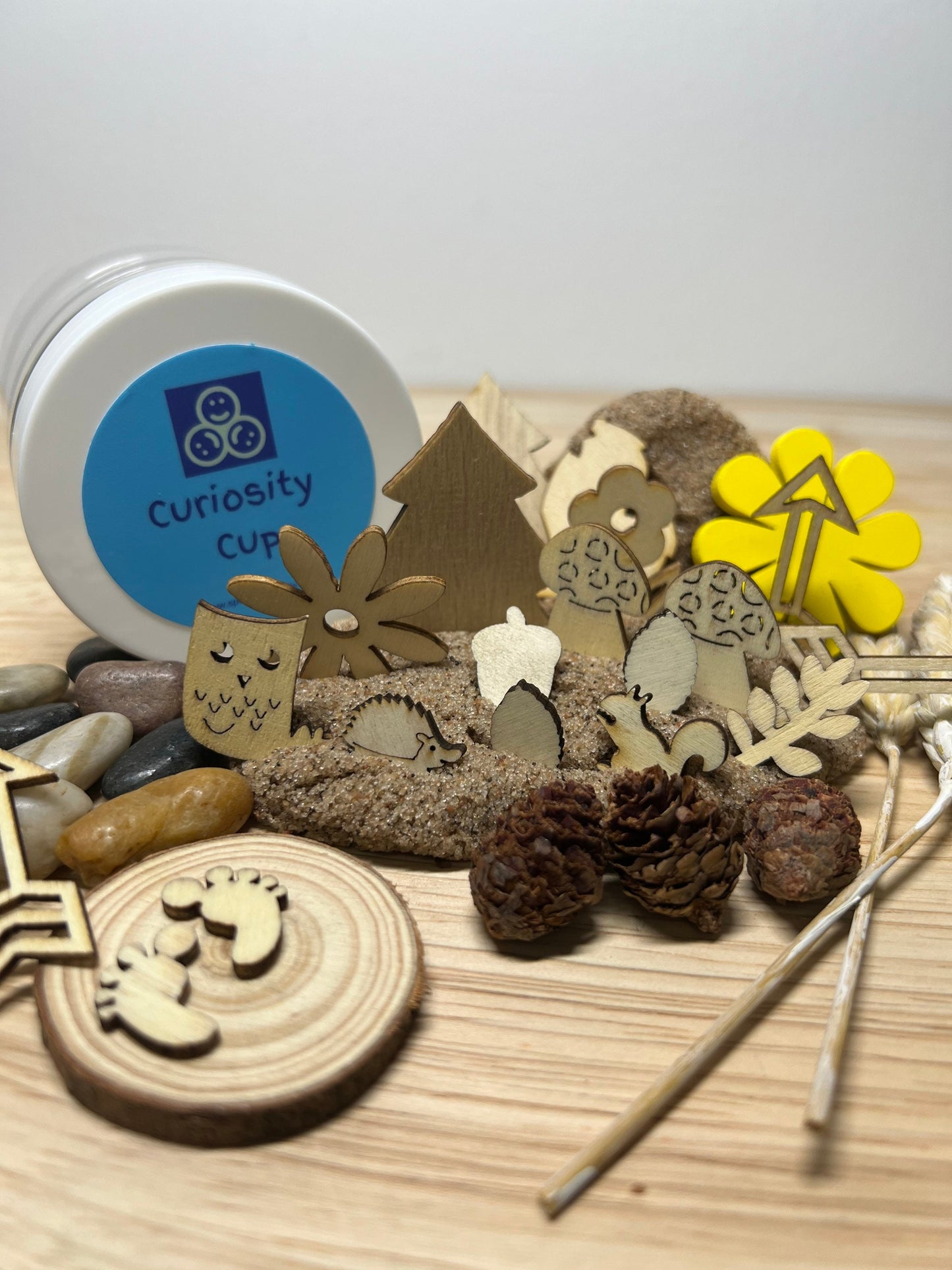 Curiosity Cups NATURAL Objects-Nature Theme Play-Play Dough Cup-Kinetic Sand Cup-Speech Therapy Mini Objects-Nature Wooden Cut Objects SLP