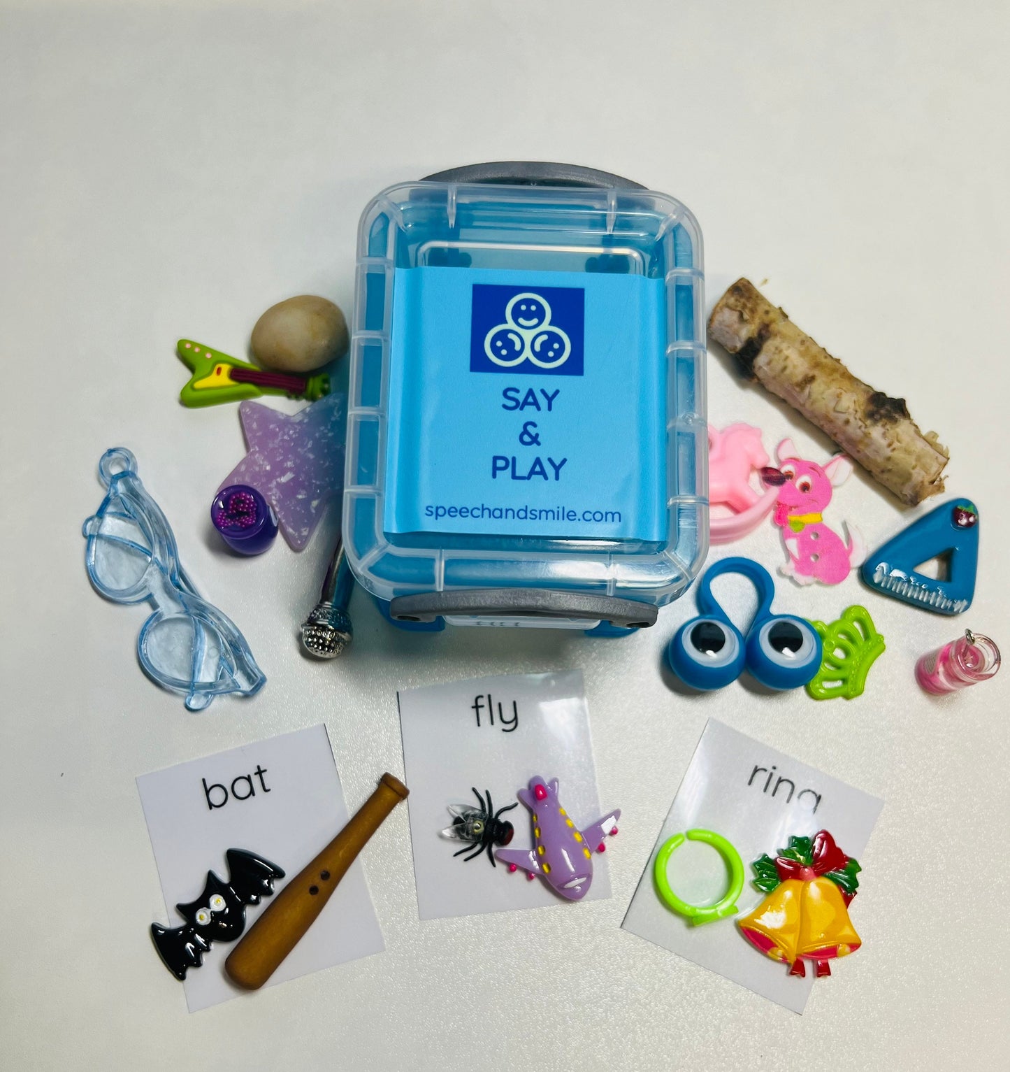 Multiple Meaning Word Objects-Minis for Speech-homonym Words-Speech Th ...