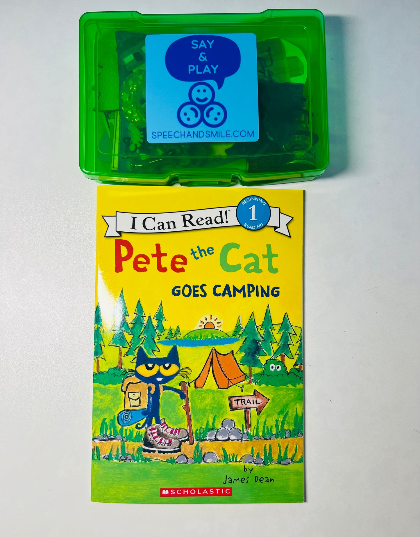 Story Kit Pete the Cat Book STORY Objects Pete the Cat Goes Camping Book Objects Speech Therapy Mini Object