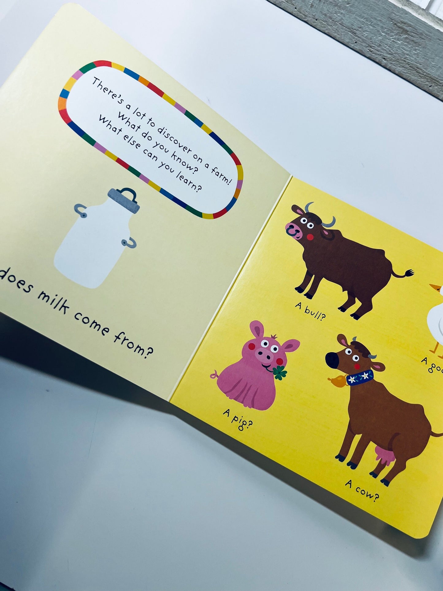 Children's Book-Farm Book About Colors-Farm Theme Book-Book for Speech Therapy Book-Questions Book-Themed Therapy for Farm-