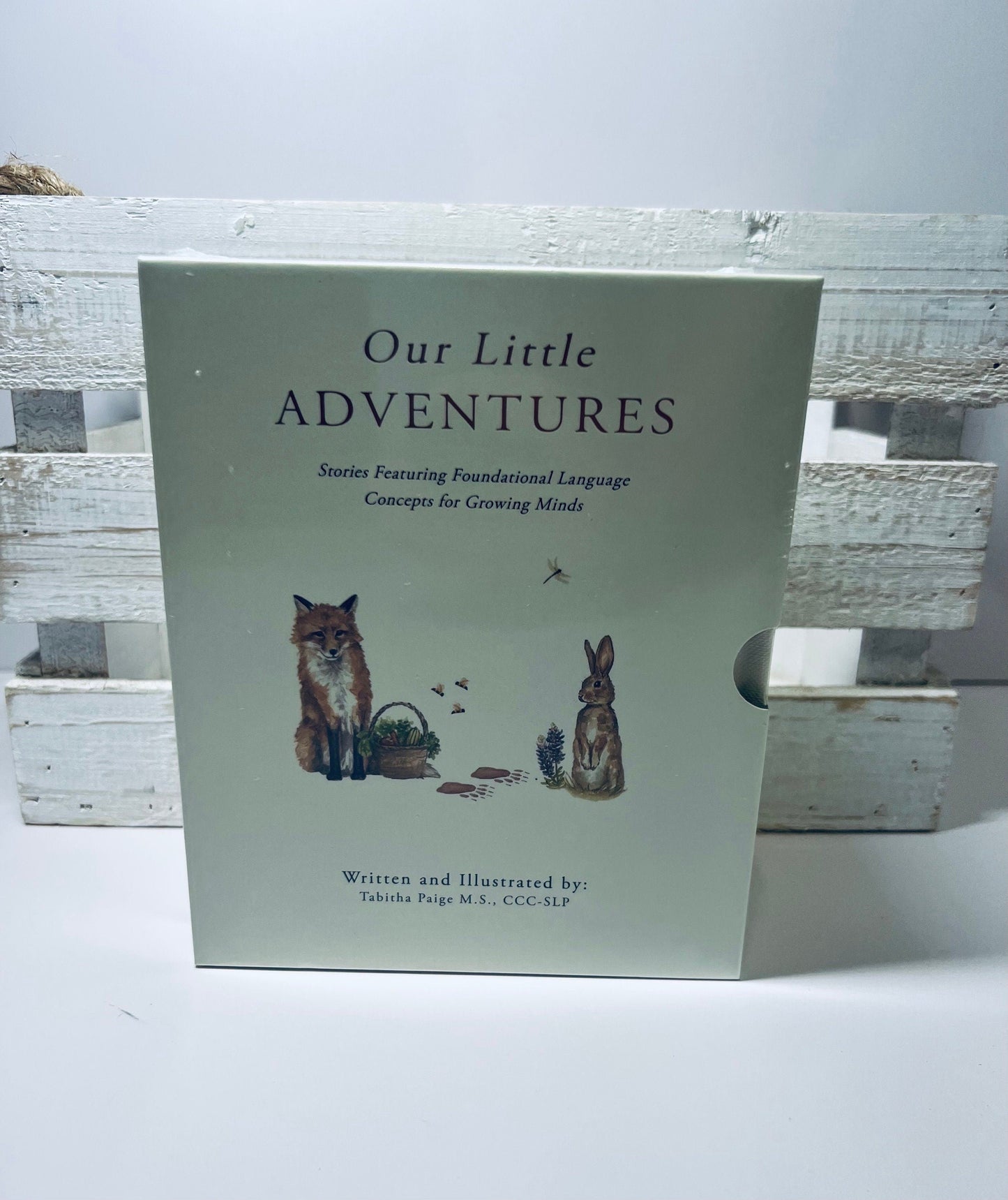 Children's Book Set Our Little Adventures: Story Set of 3 Board Books  for Language Concepts Book Gift Set Books for Speech Therapy