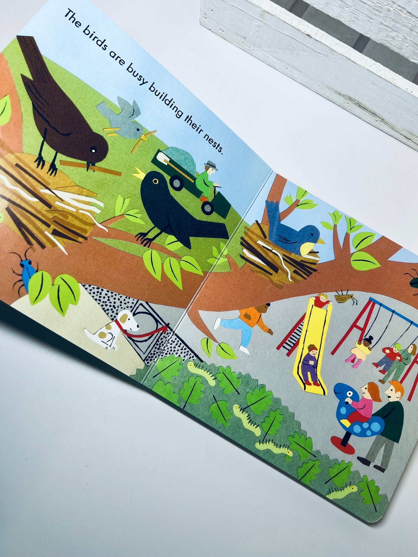 Livre sur la nature pour enfants-Livre dans le parc Petits observateurs-Livres sur le parc-Livres de parole et de jeu pour l'apprentissage