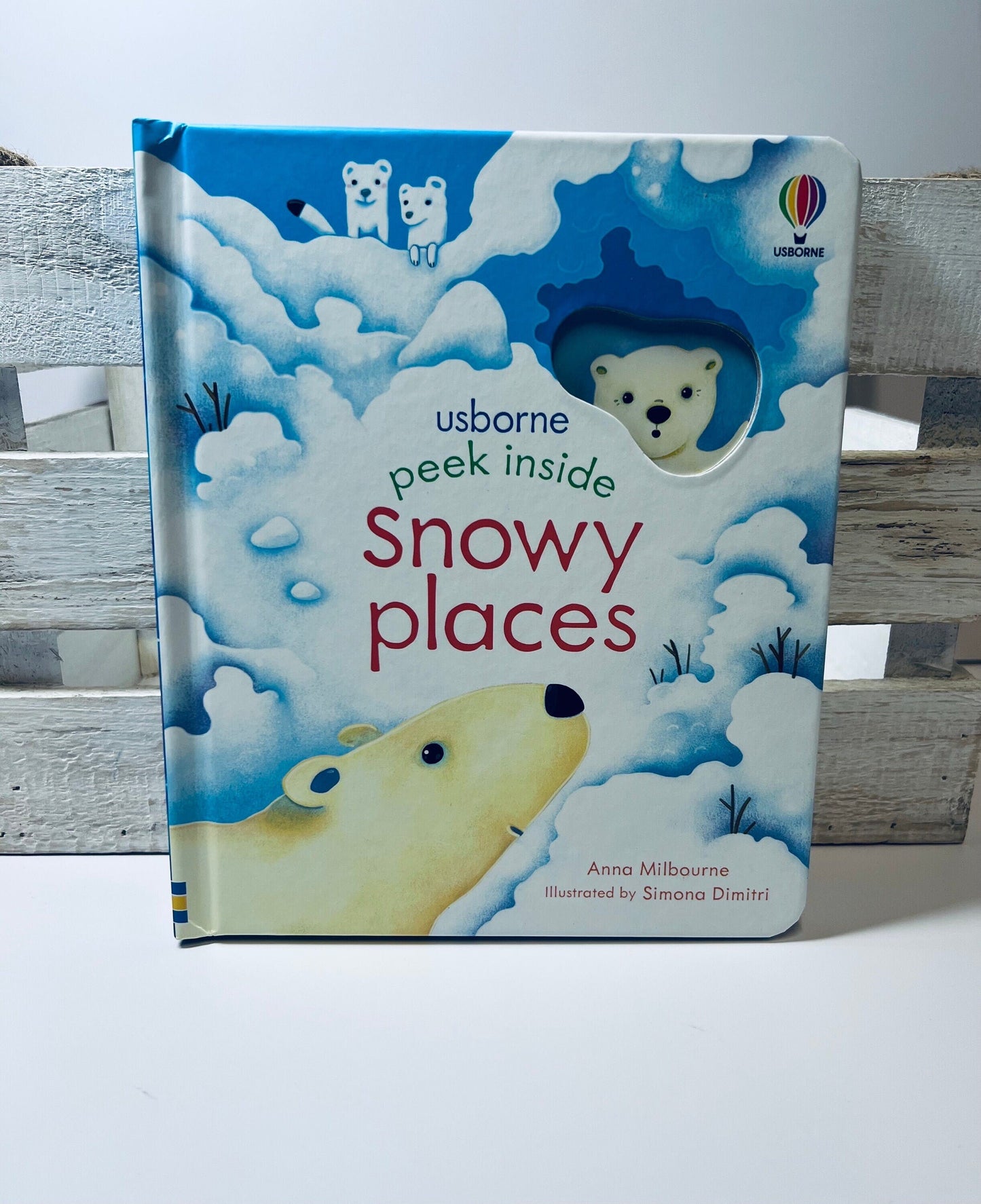 Livre pour enfants-Livre arctique-Peek Inside Snowy Places Livre-Livre sur le thème de l’hiver-Livre pour l’orthophonie