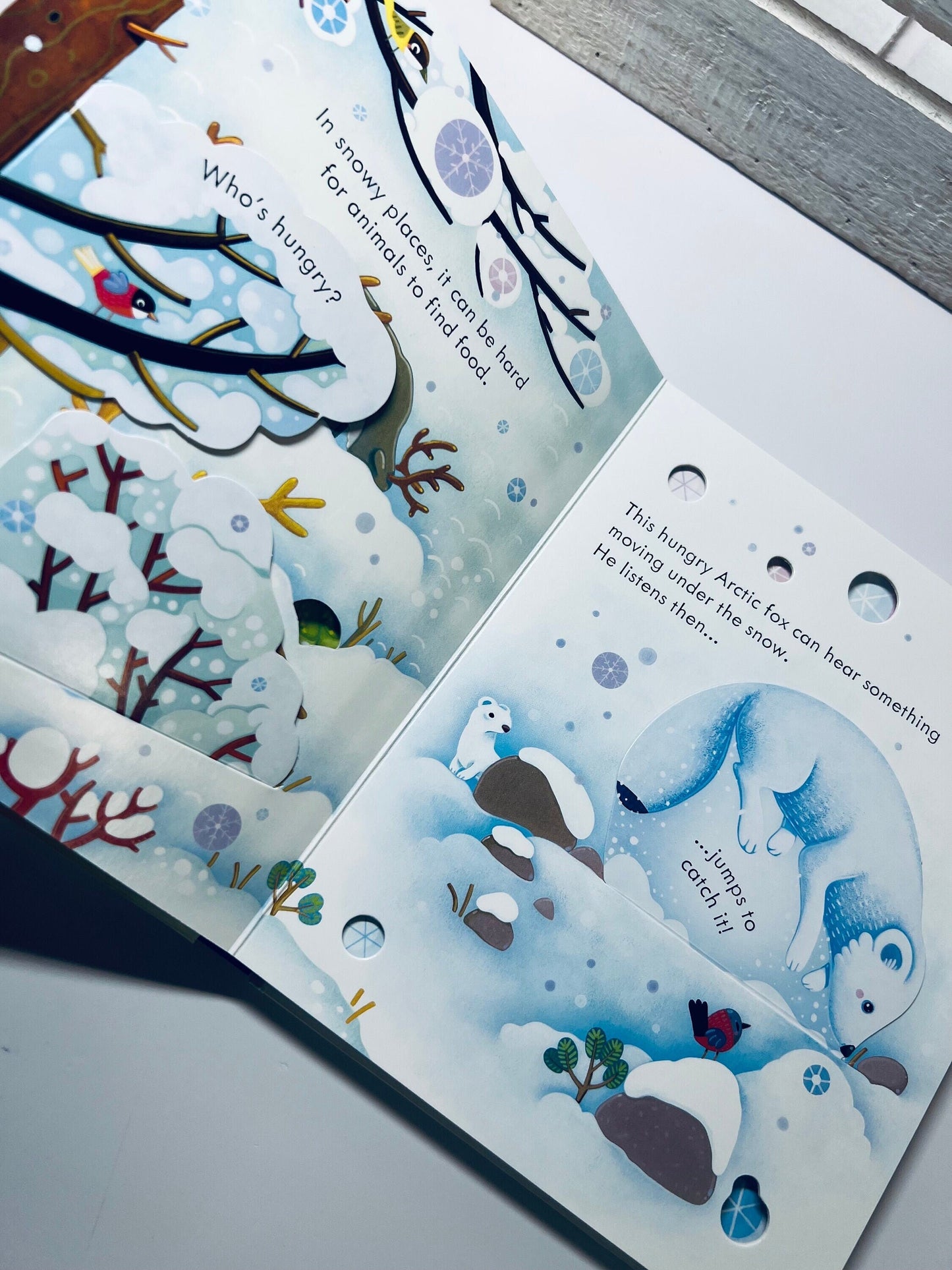 Livre pour enfants-Livre arctique-Peek Inside Snowy Places Livre-Livre sur le thème de l’hiver-Livre pour l’orthophonie