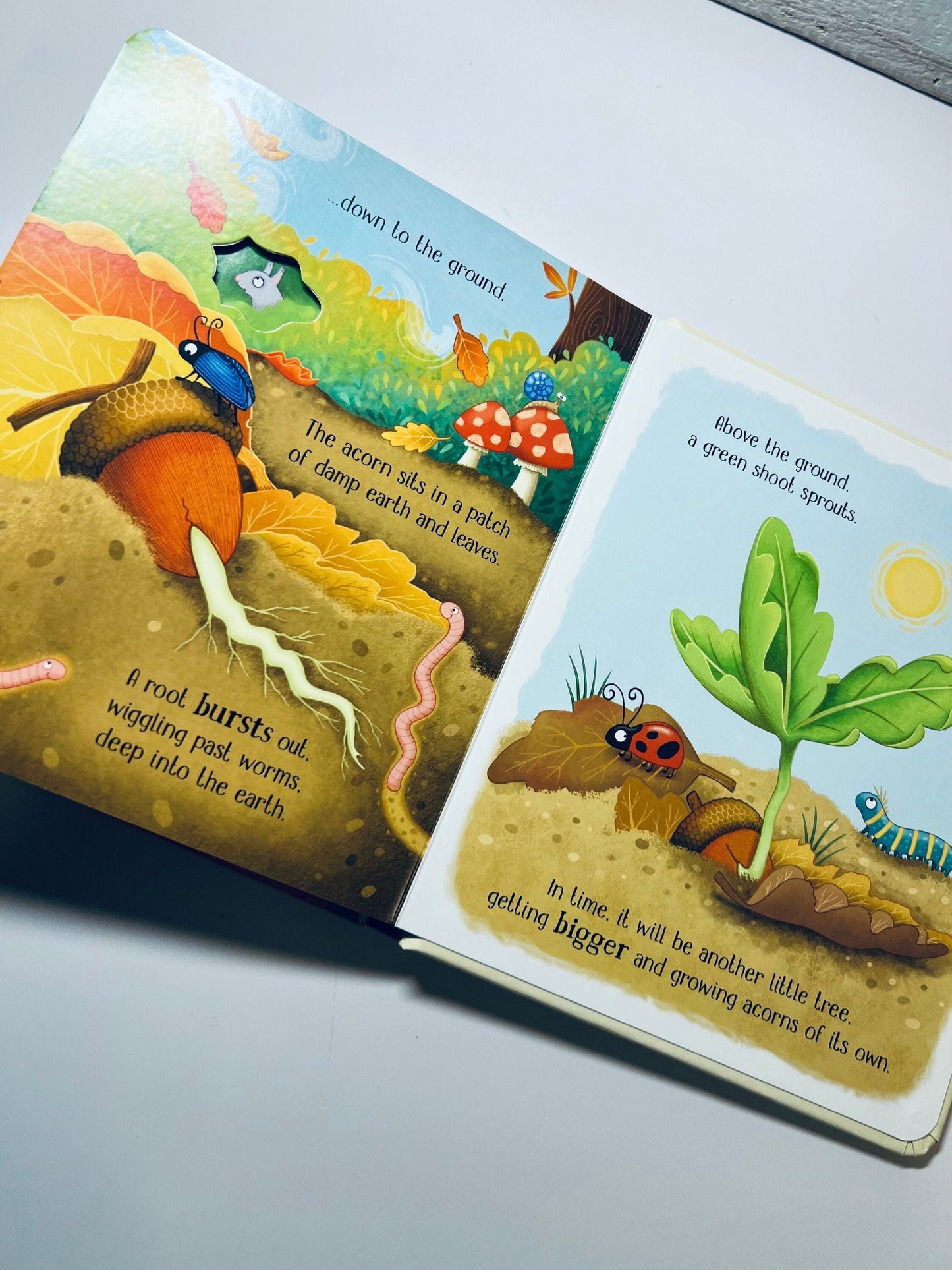 Livre pour enfants-One Little Tree-Story Retell Book-Nature Book-Theme Therapy Book for Speech-Language Learning- Livre cadeau pour les enfants-#kidlit