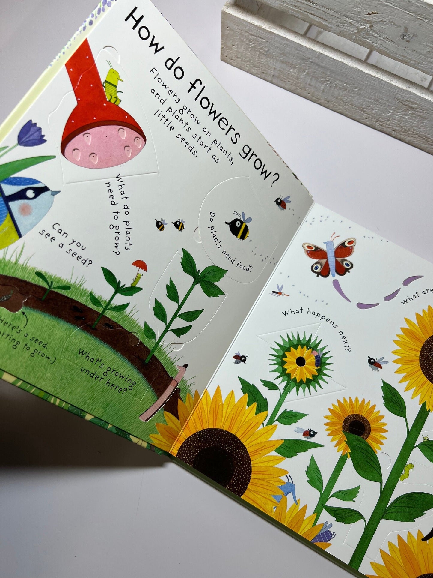 Livre pour enfants-Comment poussent les fleurs-Livre de questions-Livre pour l’orthophonie-Lift the Flap Book-Board Book