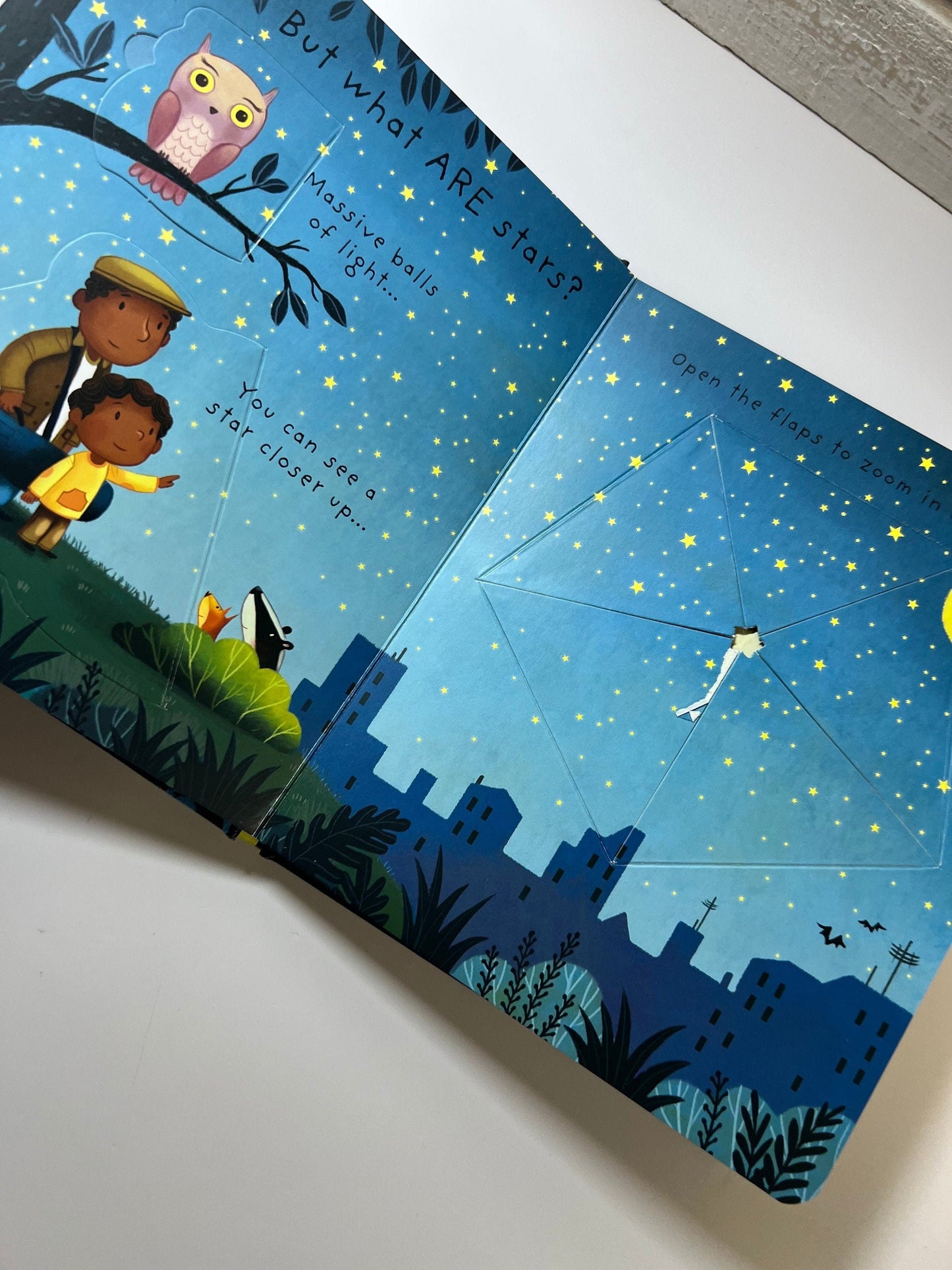 Livre pour enfants-Que sont les étoiles-Livre pour l’orthophonie-Lift the Flap Book-Board Book