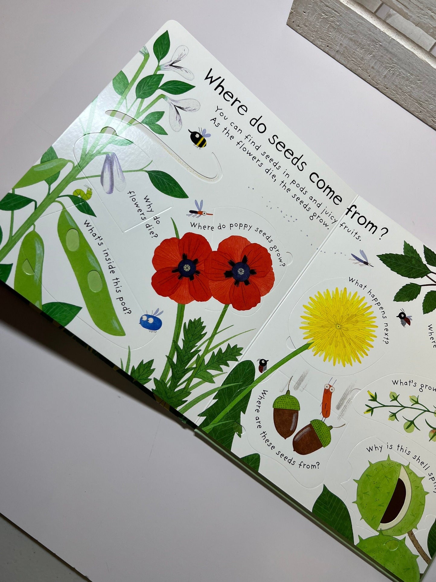 Livre pour enfants-Comment poussent les fleurs-Livre de questions-Livre pour l’orthophonie-Lift the Flap Book-Board Book